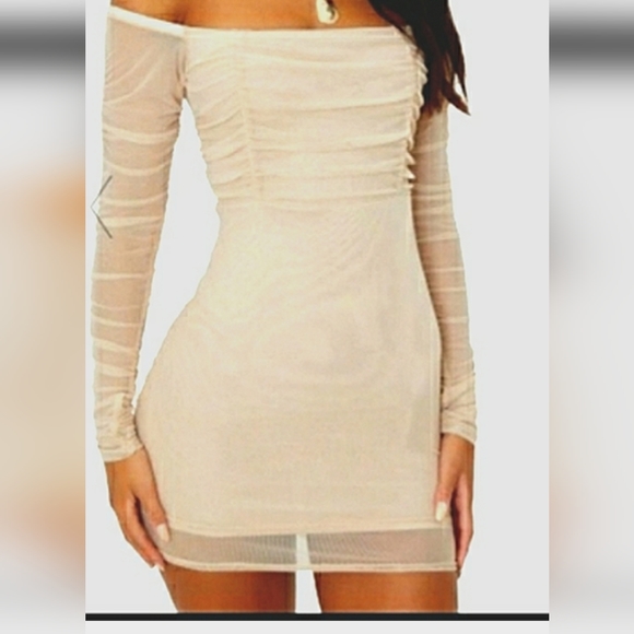 PrettyLittleThing Dresses & Skirts - Pretty little thing Stone Ruched mesh Bardot bodycon mini